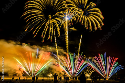 Colorful fireworks over night sky © attila445