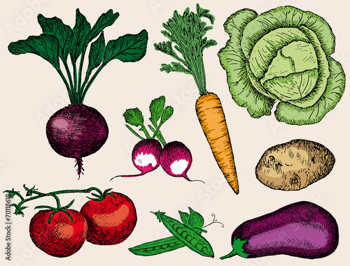 vegetables set