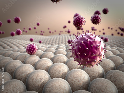 macrophage, cells, virus