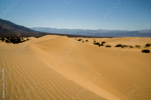 sand dune landscape Death Valley National Park