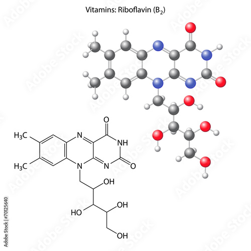 Riboflavin molecule - vitamin b1