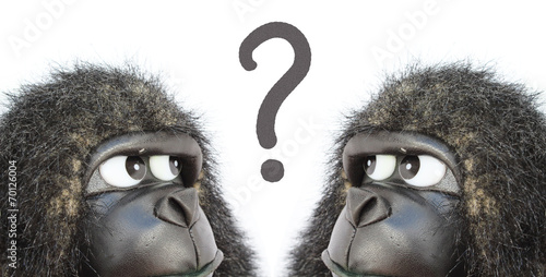 Gorillas thinking