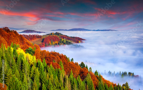 Colorful autumn morning in the Carpathian mountains. Sokilsky ri