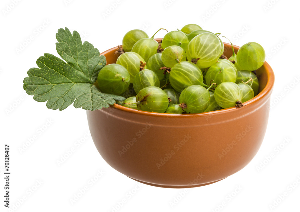 Gooseberry Gooseberry