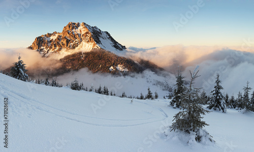 Winter mountain landscape with tree