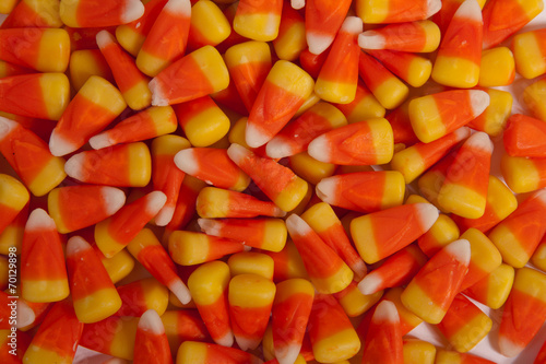 Candy Corn photo