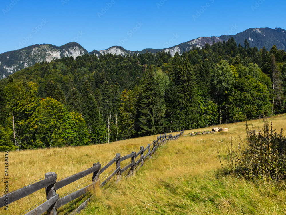 Meadow in mountains