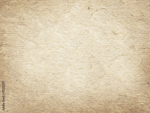 Light brown recycled paper texture.