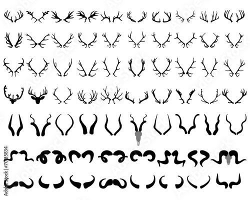 Fotótapéta Black silhouettes of different horns, vector