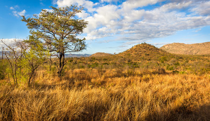 Crédence de cuisine Afrique Horizon vallonné du continent africain  © Maurizio De Mattei