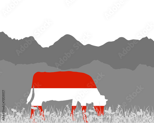 Kuh Alm und Oesterreichfahne