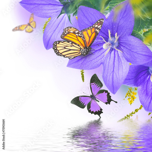 Bouquet of bells and butterfly, floral background