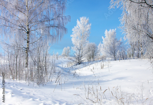 Winter nature © elen_studio