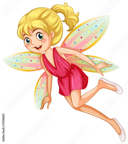 Fairy