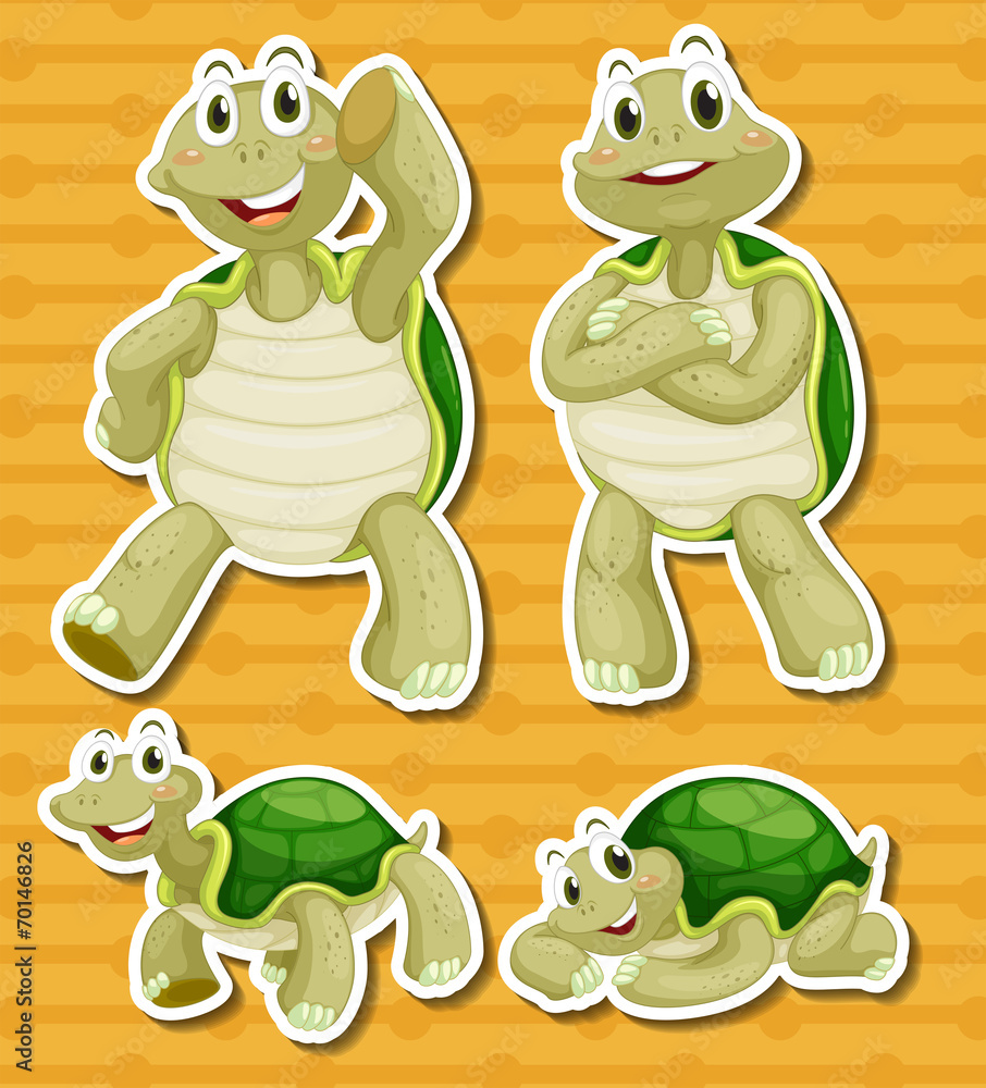 Obraz premium Turtle set