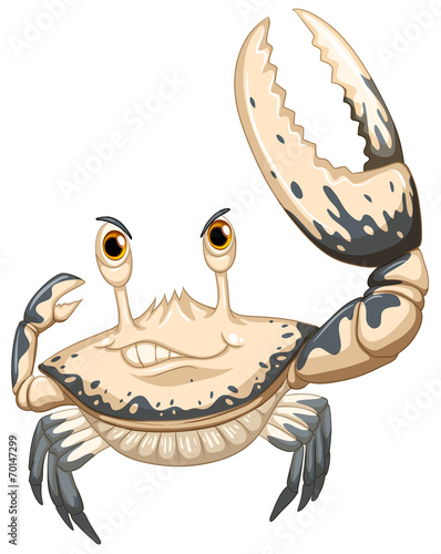 Crab