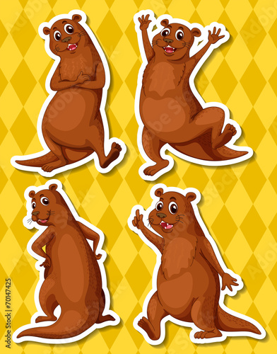 Otters