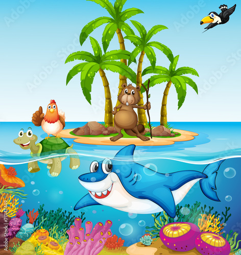 Ocean lives