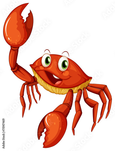 Crab