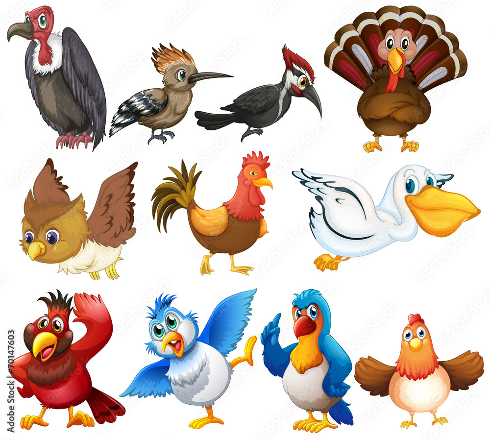 Fototapeta premium Birds set