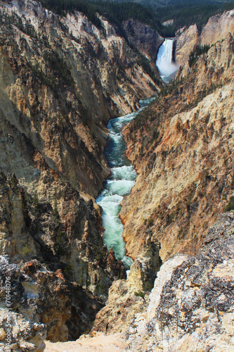 Yellowstone - Grand Canyon / Lower Falls 