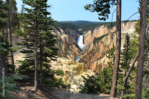 Yellowstone - Grand Canyon / Lower Falls  photo