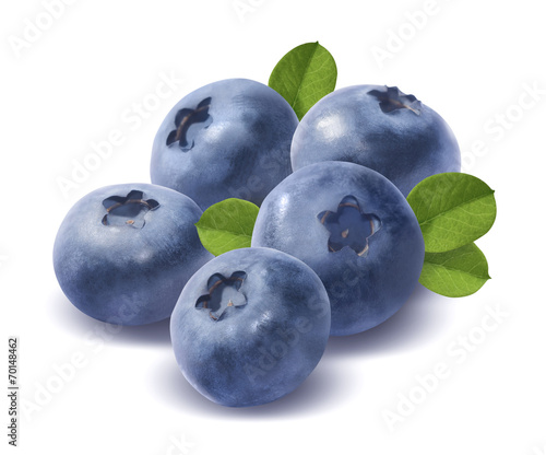 Five blueberries isolated on white background
