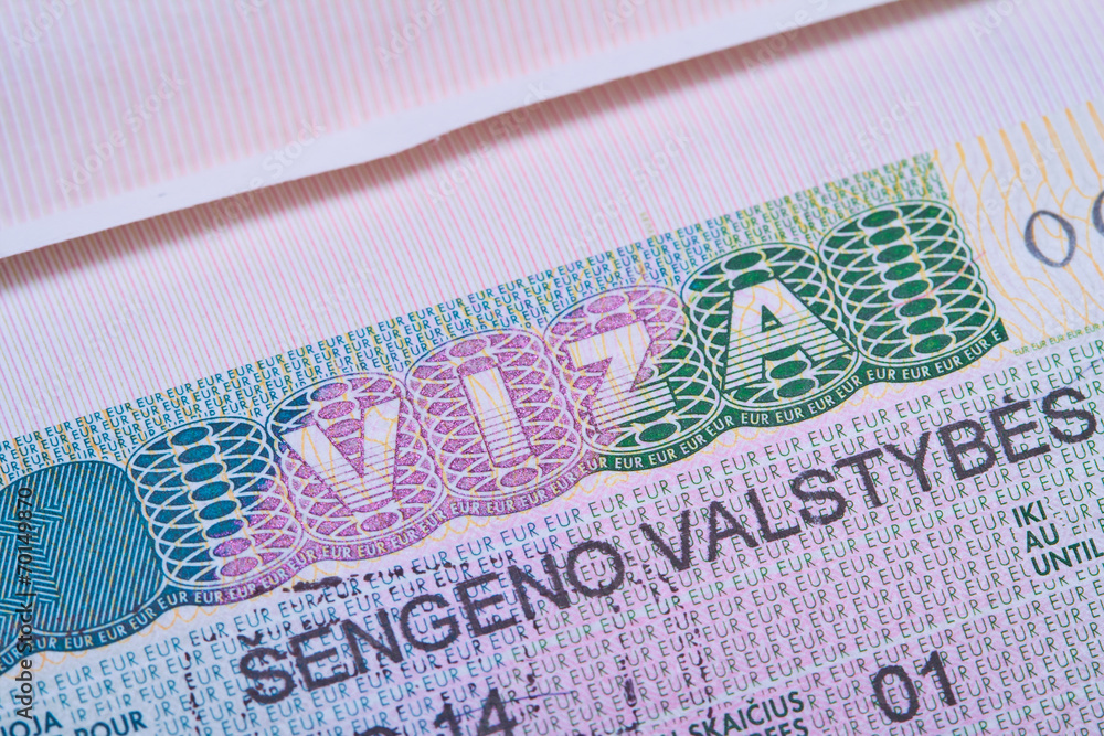 Obraz premium visa in a passport macro