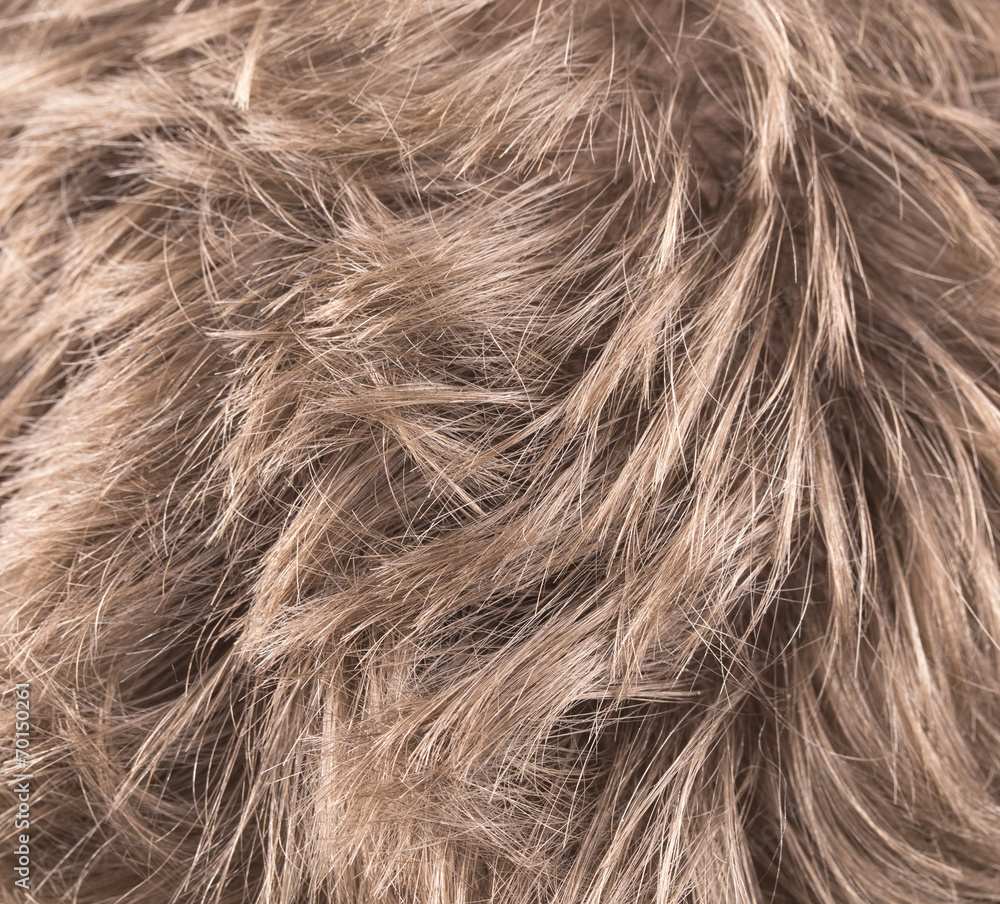Naklejka premium Beautiful shiny blond hair.