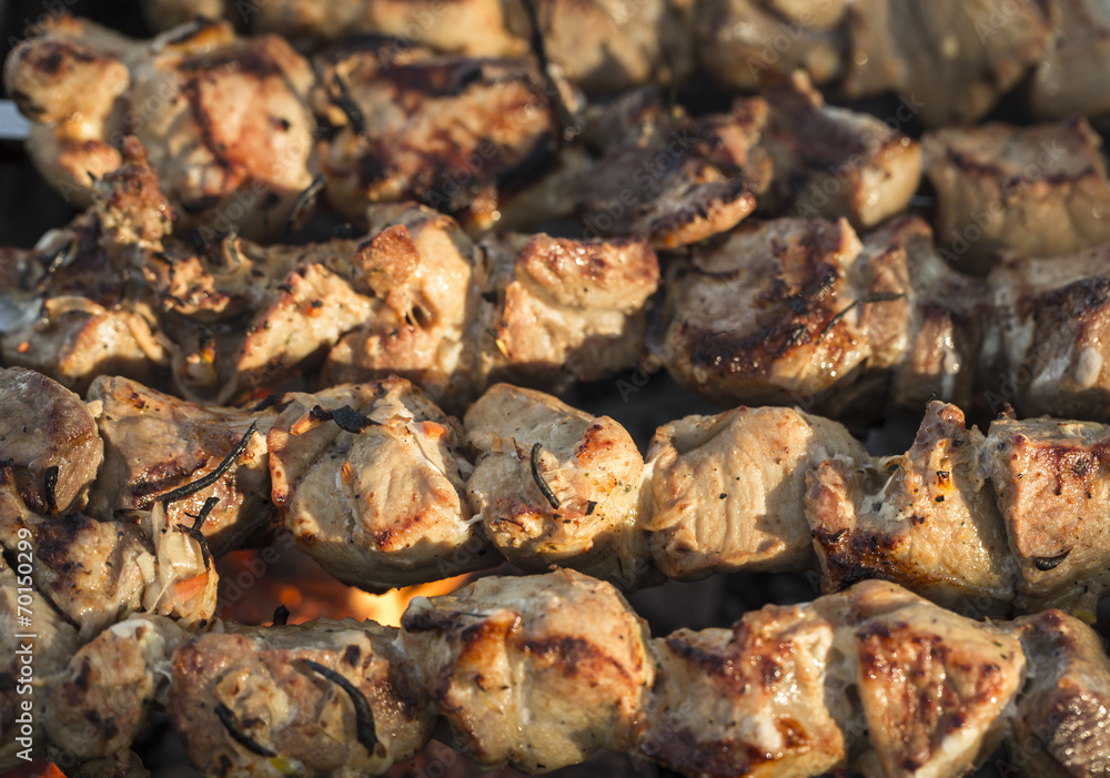 Tasty shish kebab. Tasty shish kebab.