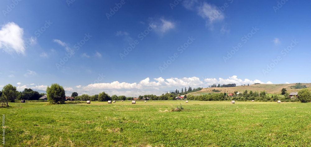 Rura summer  panoramic landscape