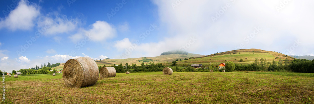 Hay-roll on field after harvest Hay-roll on field after harvest