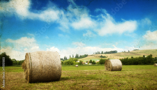 Hay-roll on field after harvest