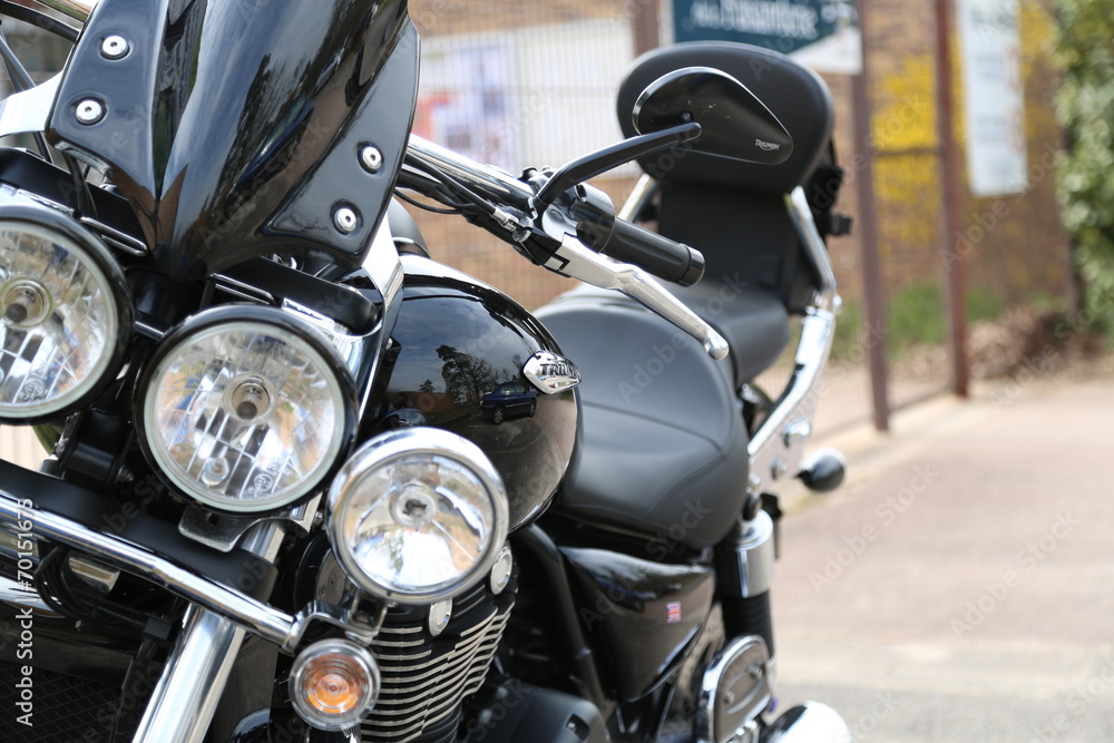 Obraz premium Triumph