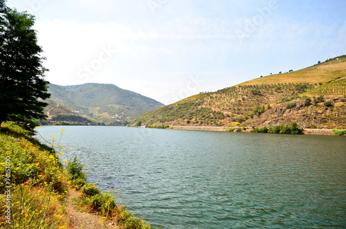 Douro Valley - Dourotal und Weinberge bei Pinhao, Portugal