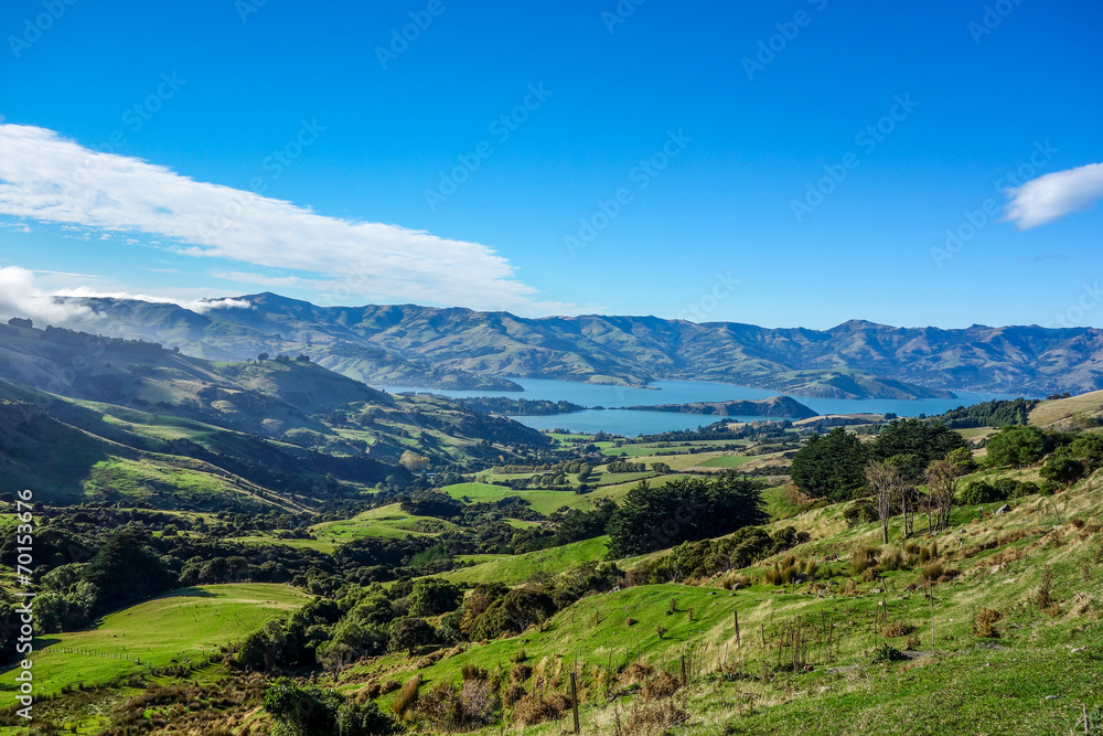 New Zealand 25