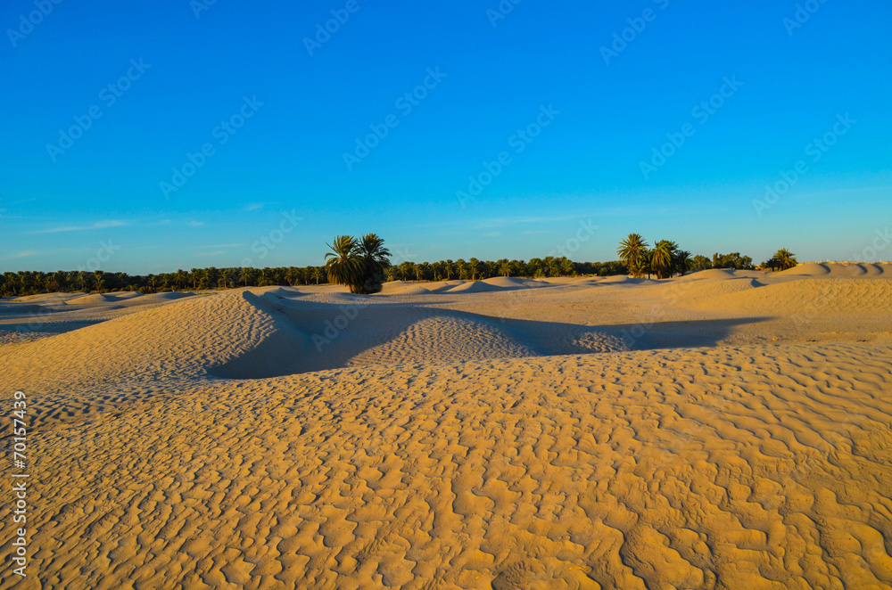 Desert Desert