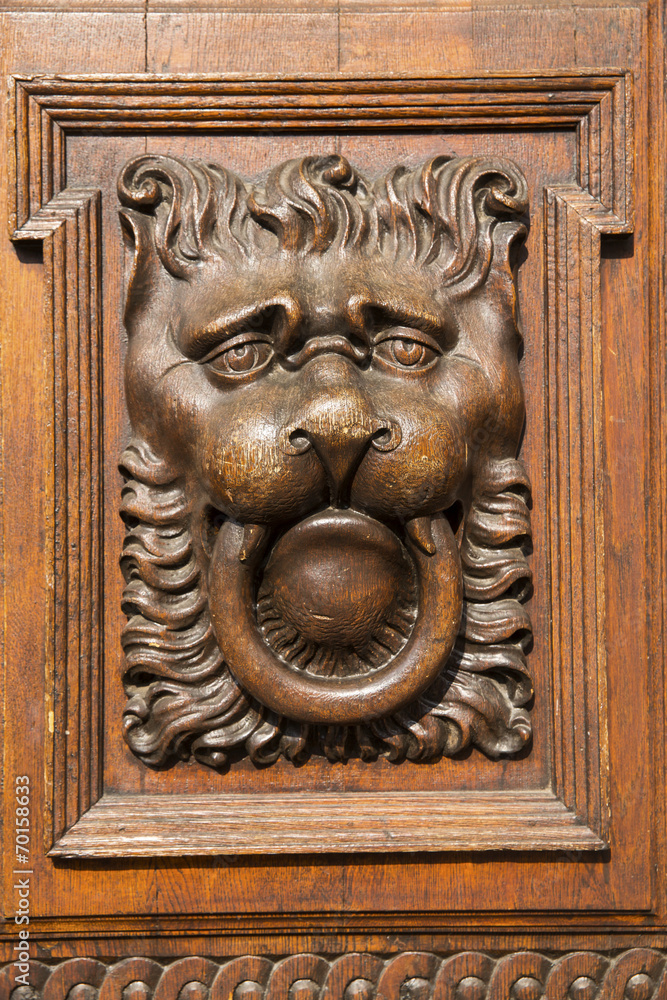 lion door handle lion door handle