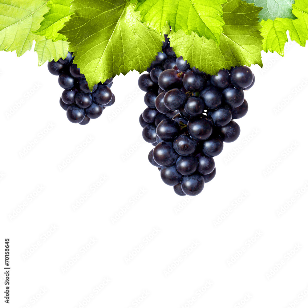Fototapeta premium freigestellte Trauben mit Blättern