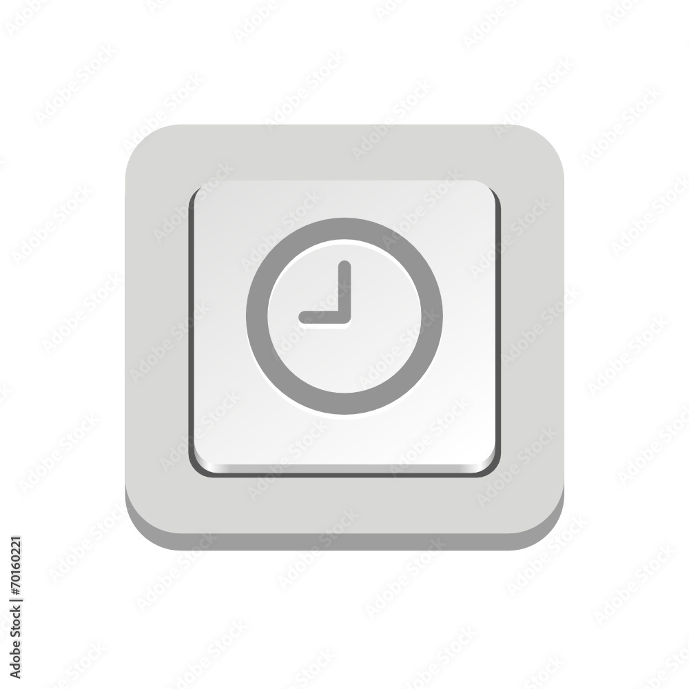 Vector iButton Vector iButton