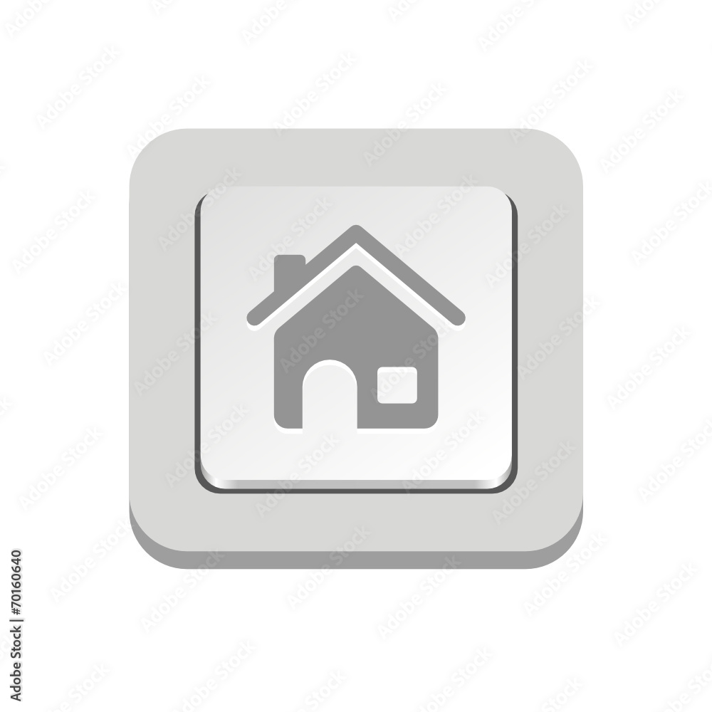 Vector iButton Vector iButton