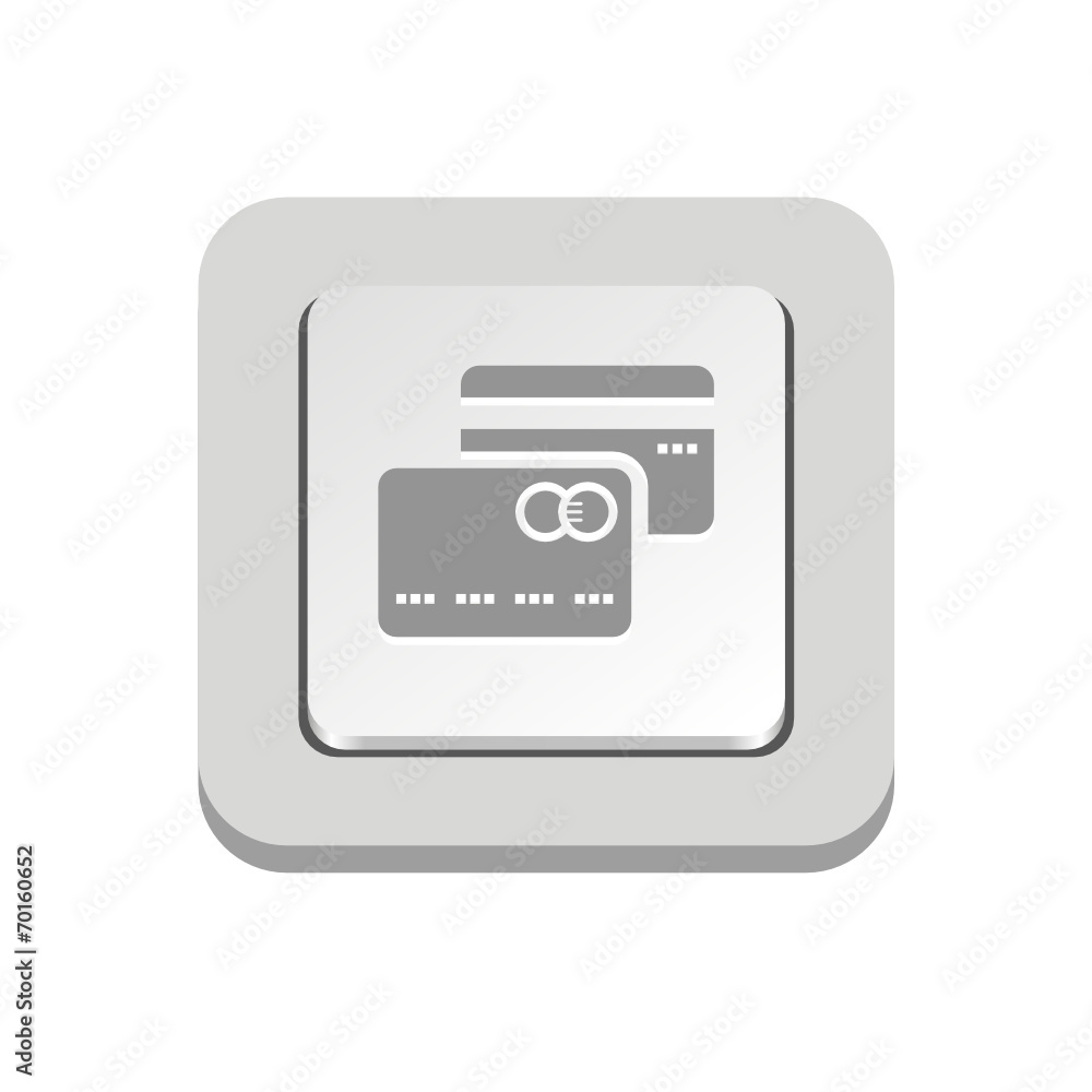 Vector iButton Vector iButton
