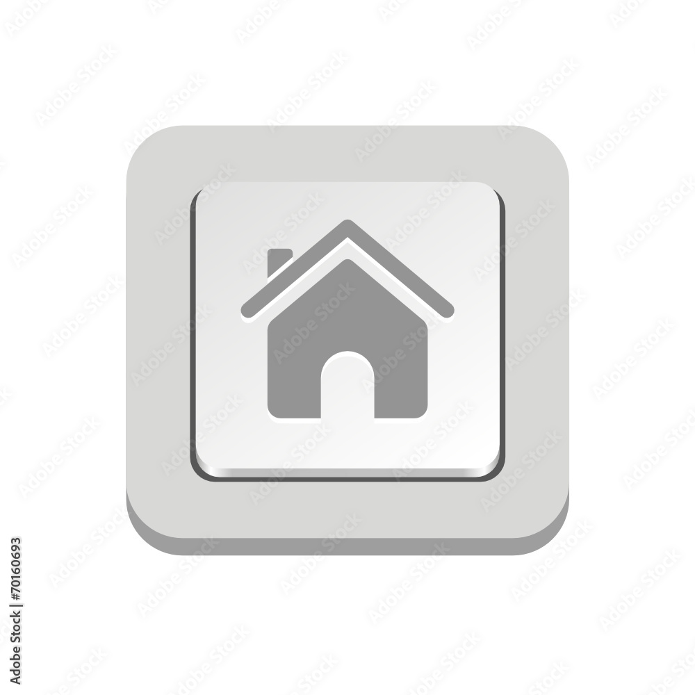 Vector iButton Vector iButton
