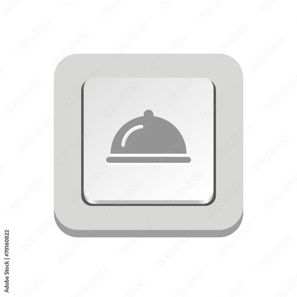 Vector iButton Vector iButton