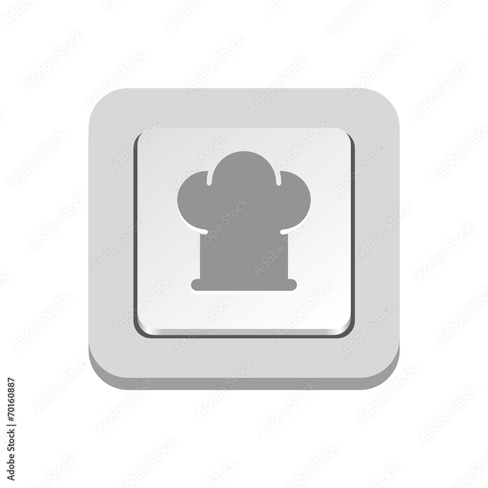 Vector iButton Vector iButton