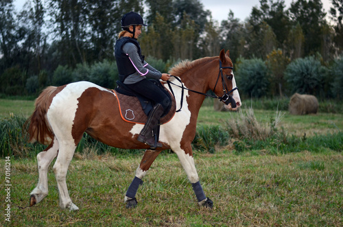 passion équitation