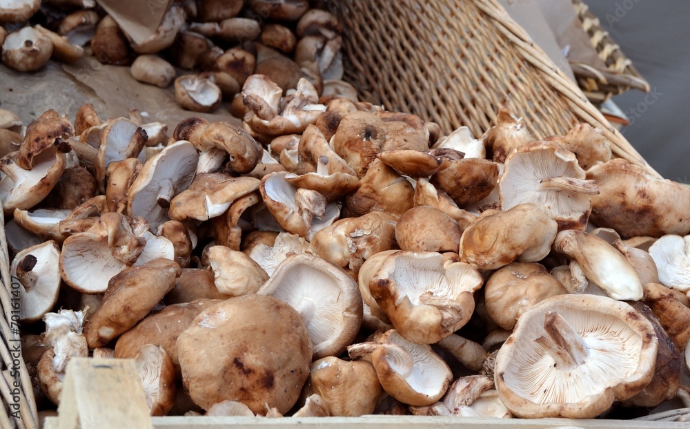 Champignons shiitake en vrac Champignons shiitake en vrac