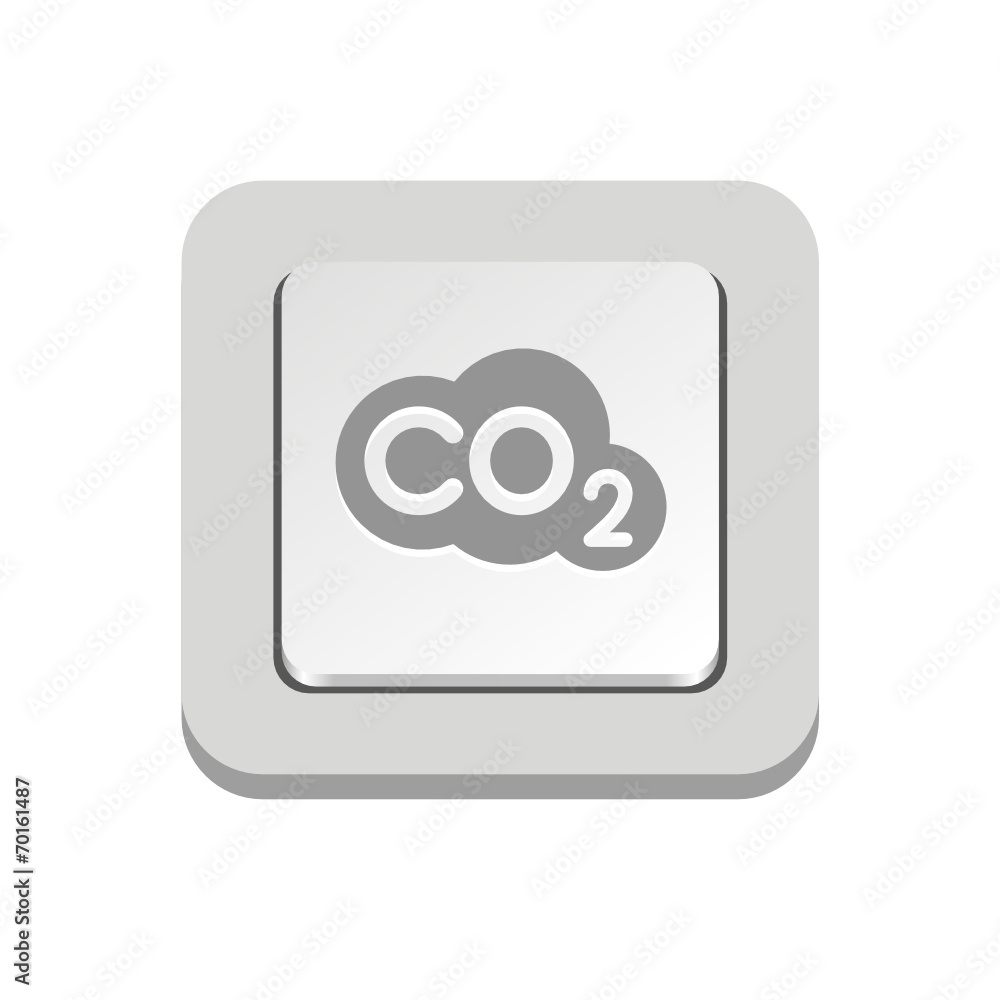 Vector iButton Vector iButton