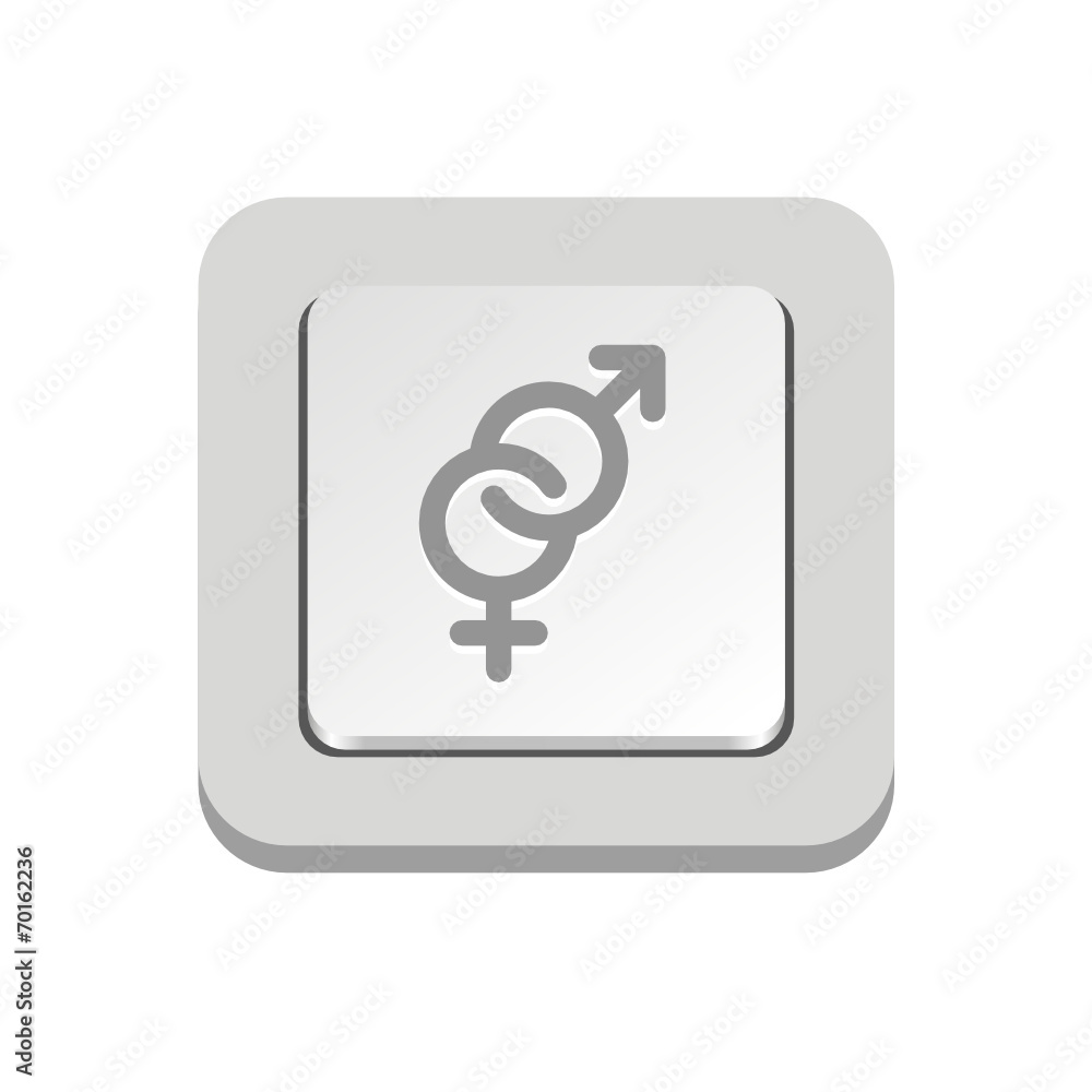 Vector iButton Vector iButton