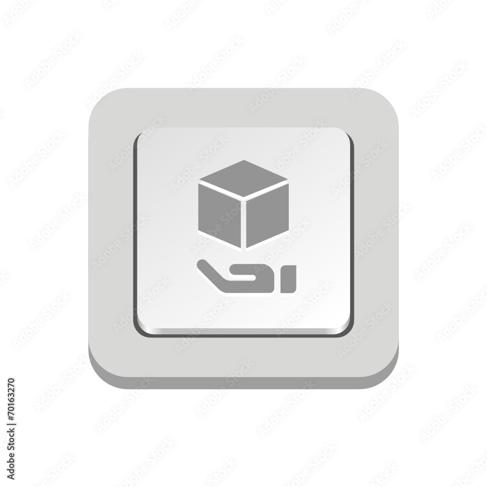 Vector iButton Vector iButton
